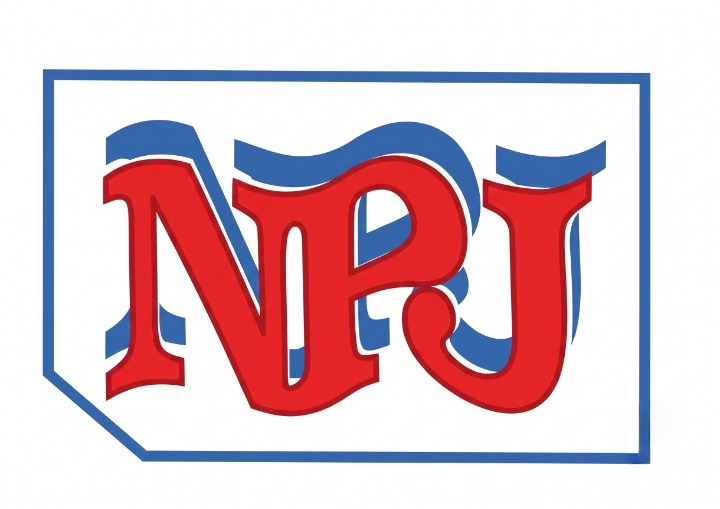 PT. Nafiri Primer Jaya Logo